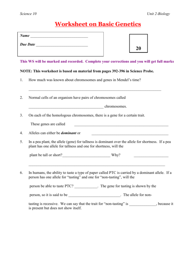 Worksheet On Basic Genetics