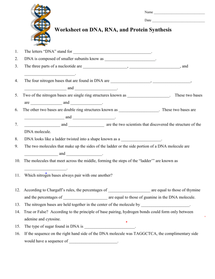 Worksheet On Dna And Rna