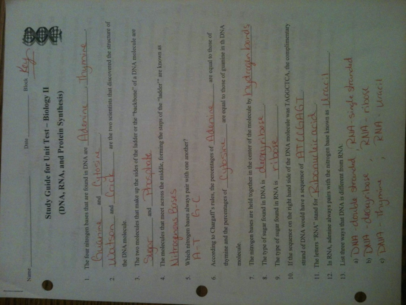 Worksheet On Dna Rna And Protein Synthesis