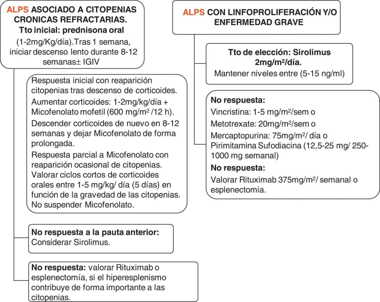 Worksheet On Dna Rna And Protein Synthesis Answer Key