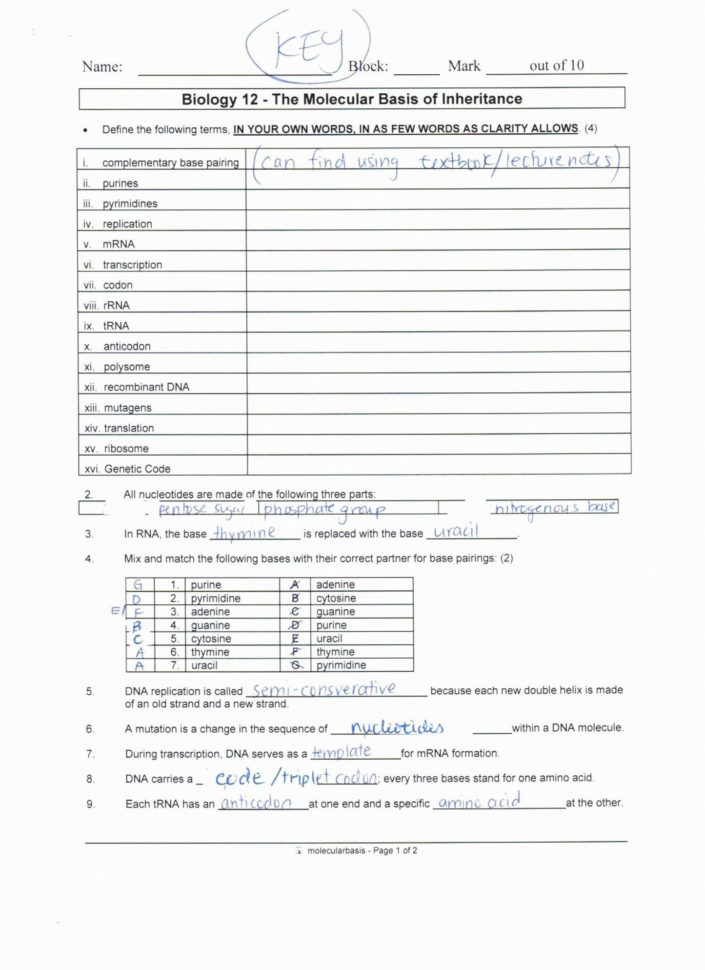 Worksheet On Dna Rna And Protein Synthesis Answer Key