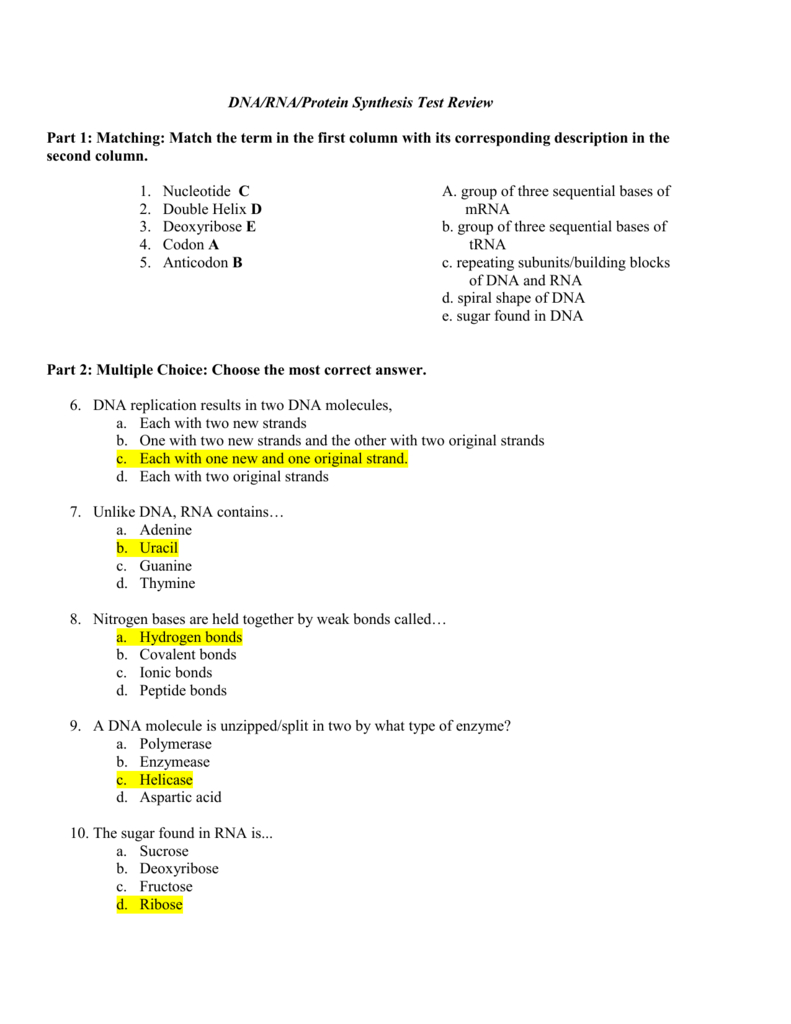 Worksheet On Dna Rna And Protein Synthesis Answer Key Math