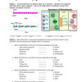 Worksheet On Dna Rna And Protein Synthesis Answer Key Quizlet