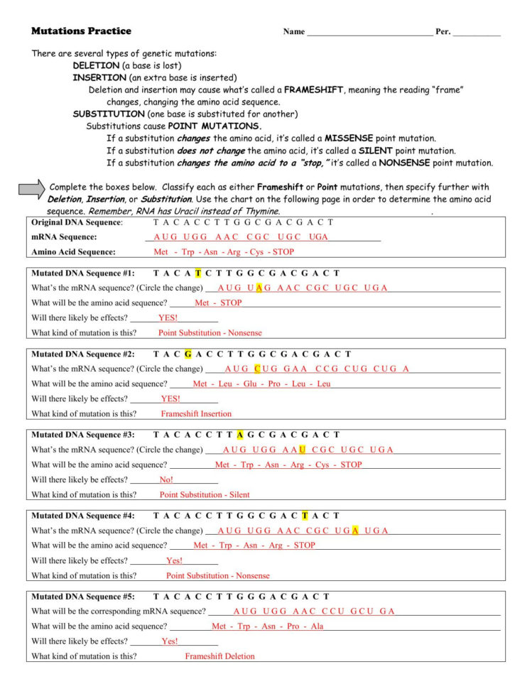 worksheet-on-dna-rna-and-protein-synthesis-answer-key-quizlet-db