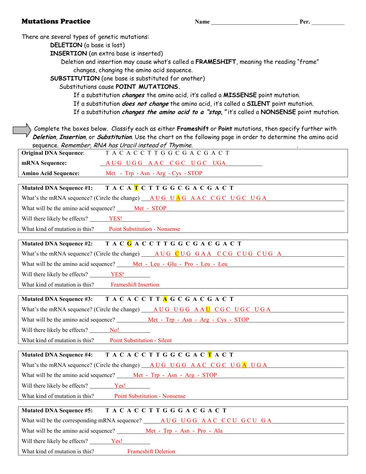 Worksheet On Dna Rna And Protein Synthesis Answer Key Quizlet Db 