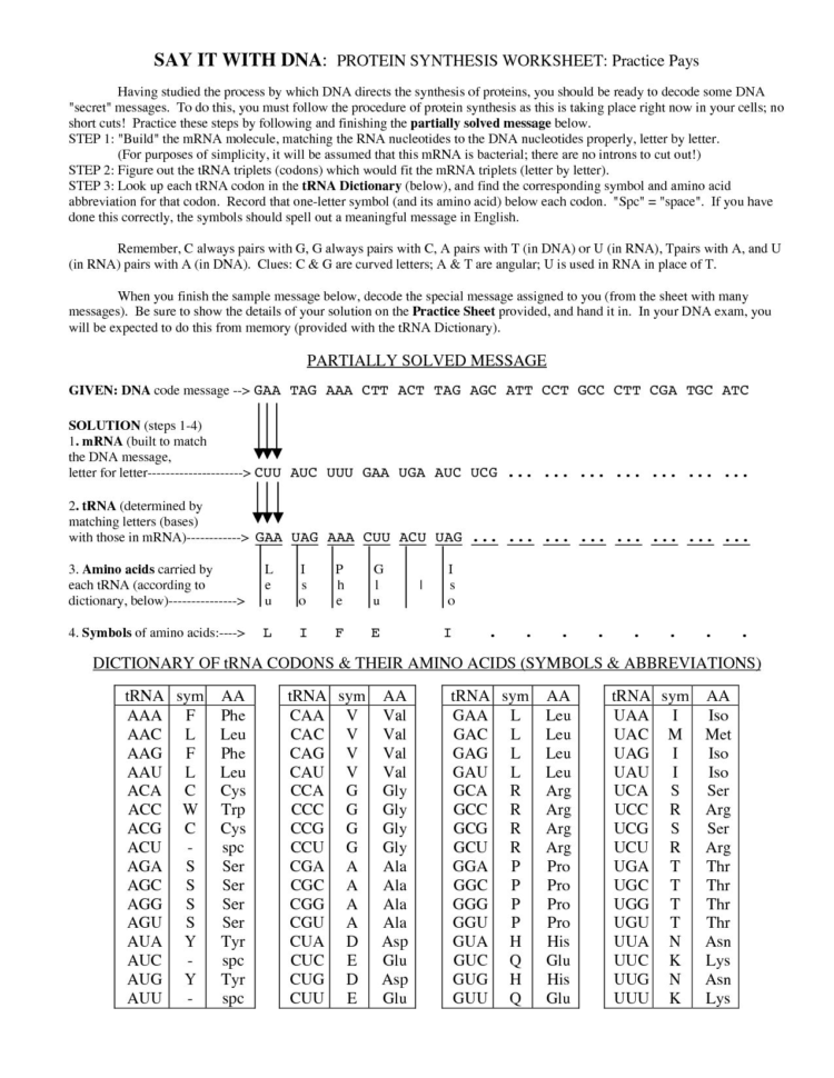 Worksheet On Dna Rna And Protein Synthesis Answer Sheet
