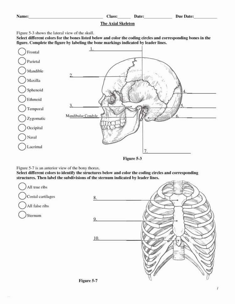 Worksheet On Elasticity