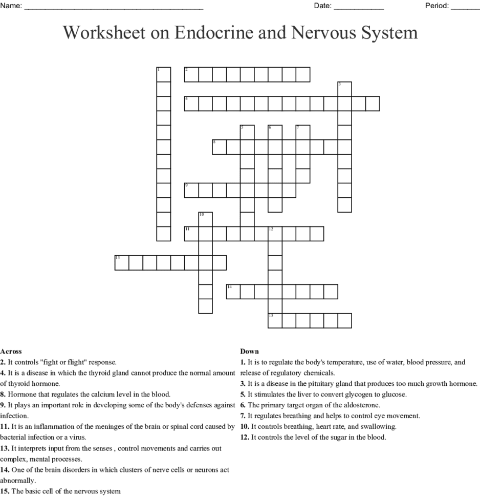Worksheet On Endocrine And Nervous System Crossword  Word