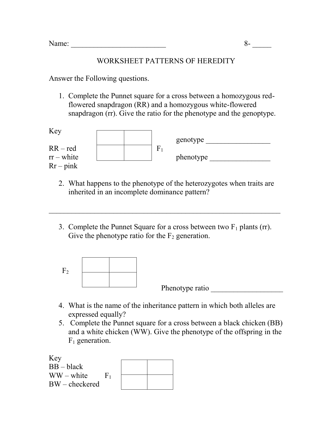 Worksheet Patterns Of Heredity