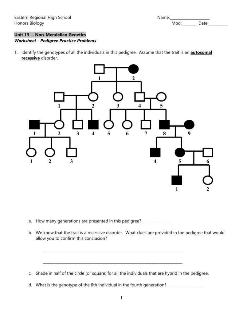 Genetics Pedigree Worksheet Key Db excel