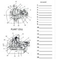 Worksheet Plant And Animal Cell Worksheet Quiz Worksheet