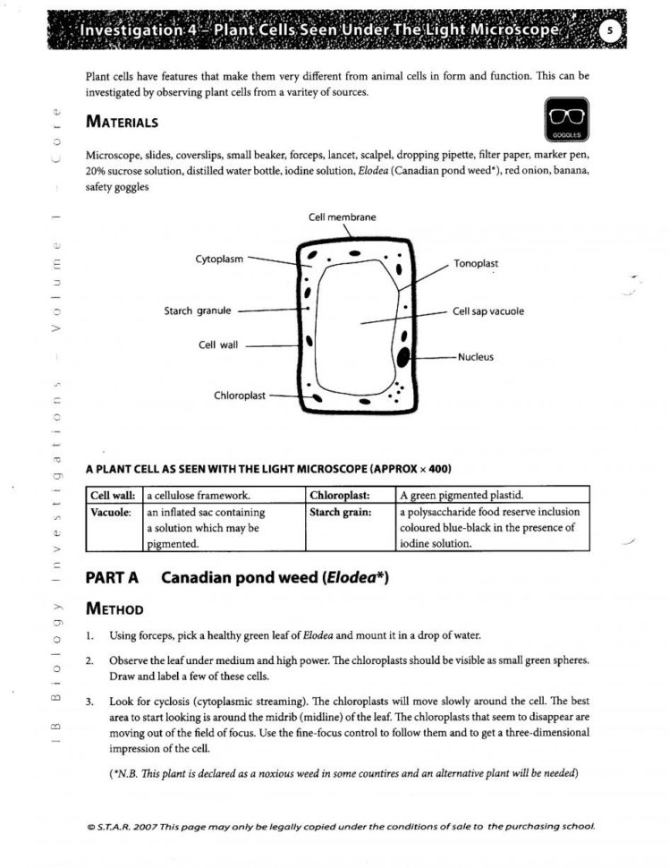 Worksheet Plant And Animal Cell Worksheet Quiz Worksheet