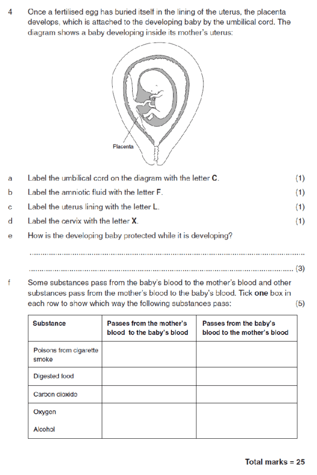 Worksheet Plant Reproduction Worksheet Reproduction