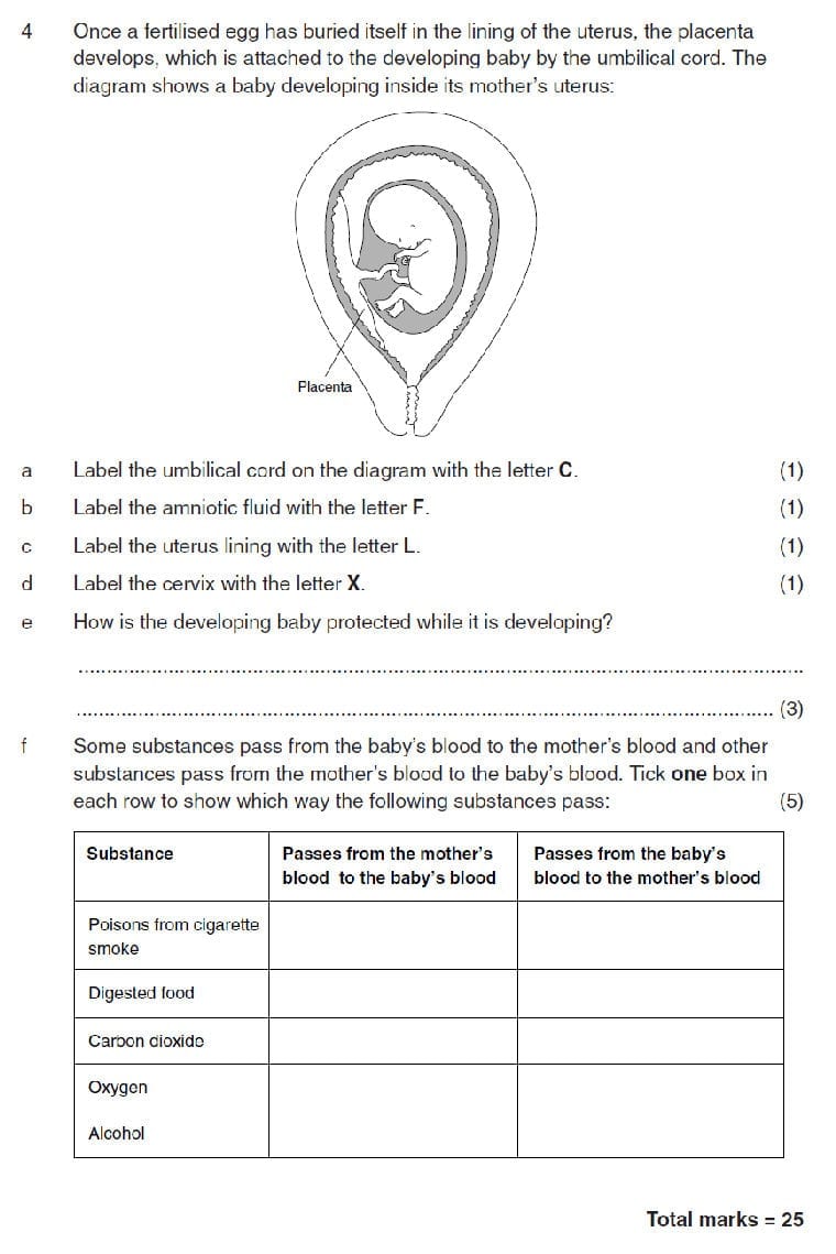Plant Reproduction Worksheet Answers