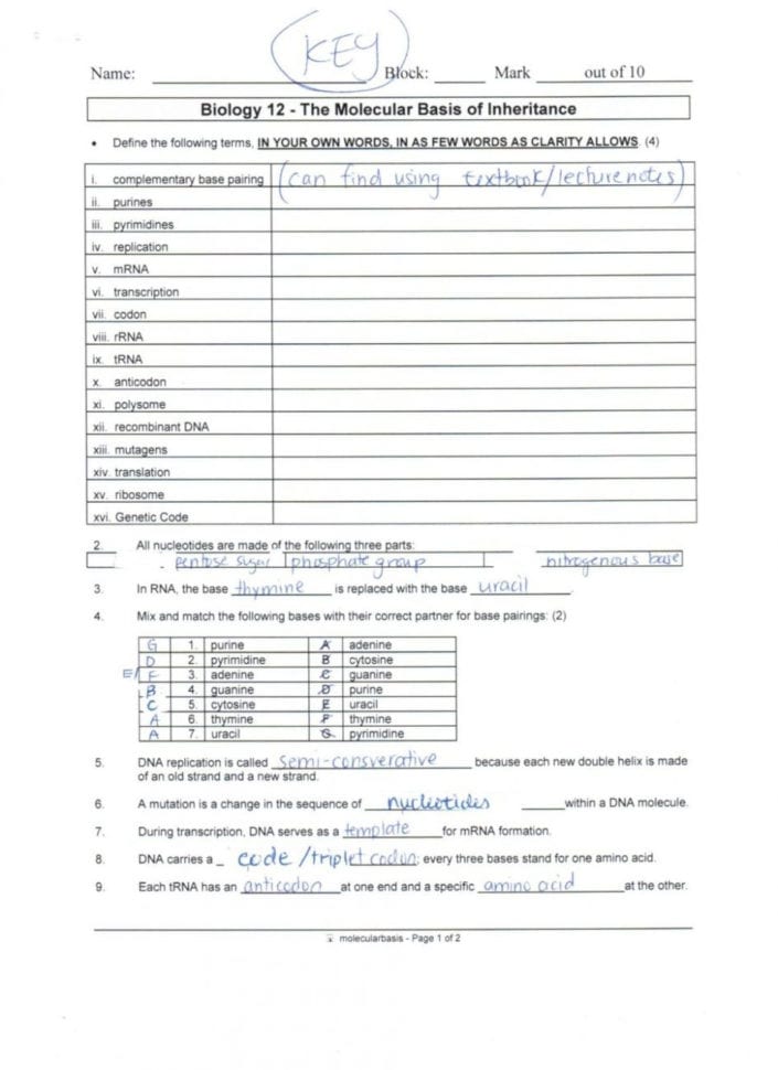 Worksheet Protein Synthesis Worksheet Answers Dna Rna And
