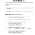 Worksheet Protein Synthesis Worksheet Answers Dna Rna And