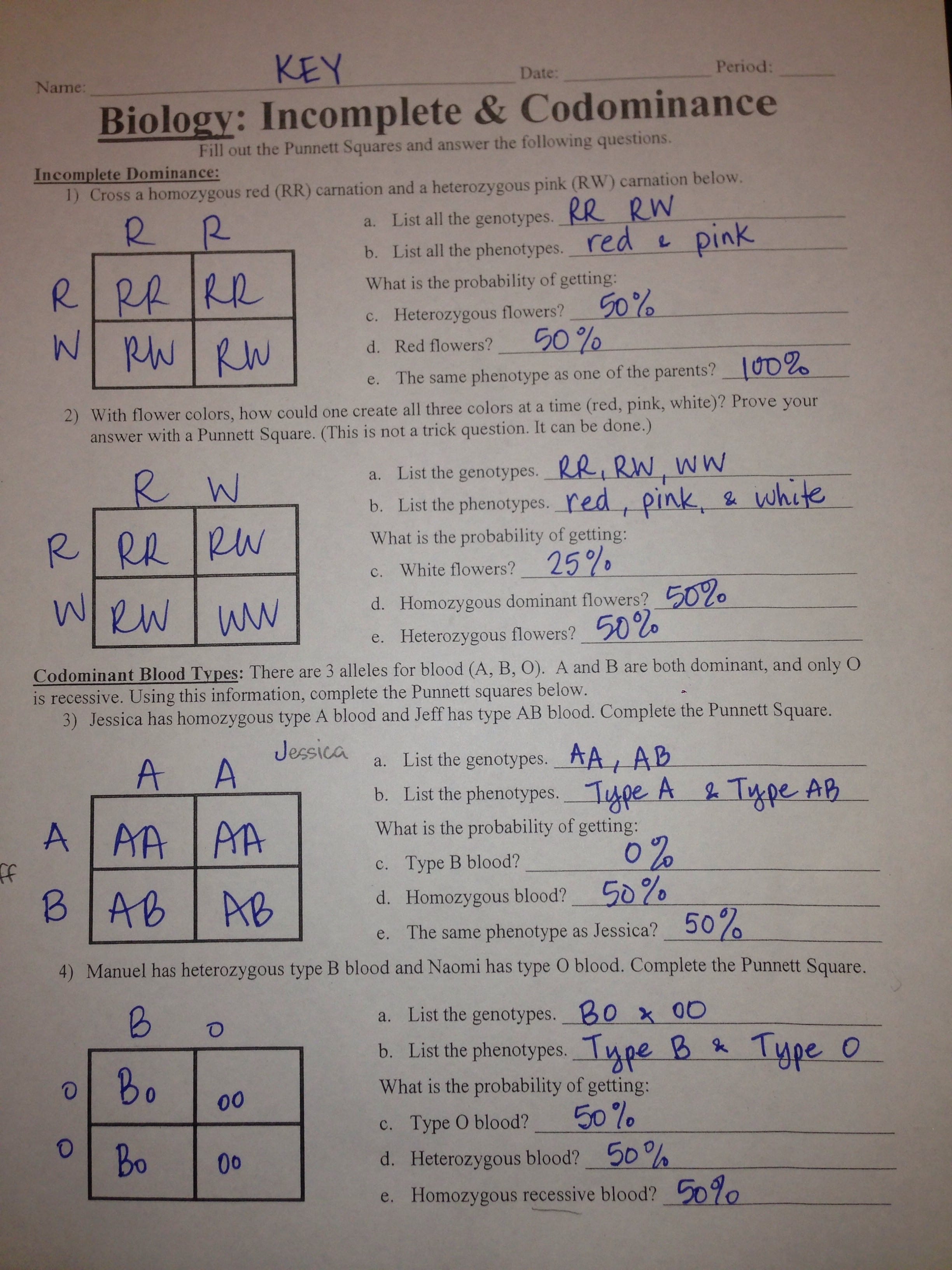 Worksheet Square Answer Key Grass Section 124 —