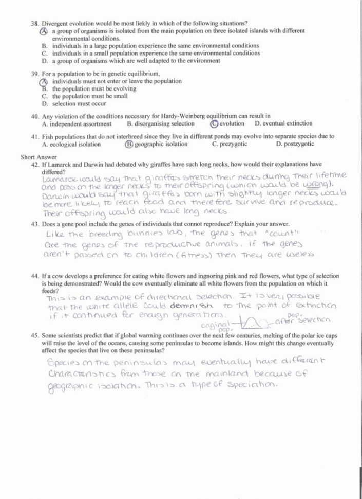Worksheet Sine Cosine Tangent Graphsine With Answerssine Id