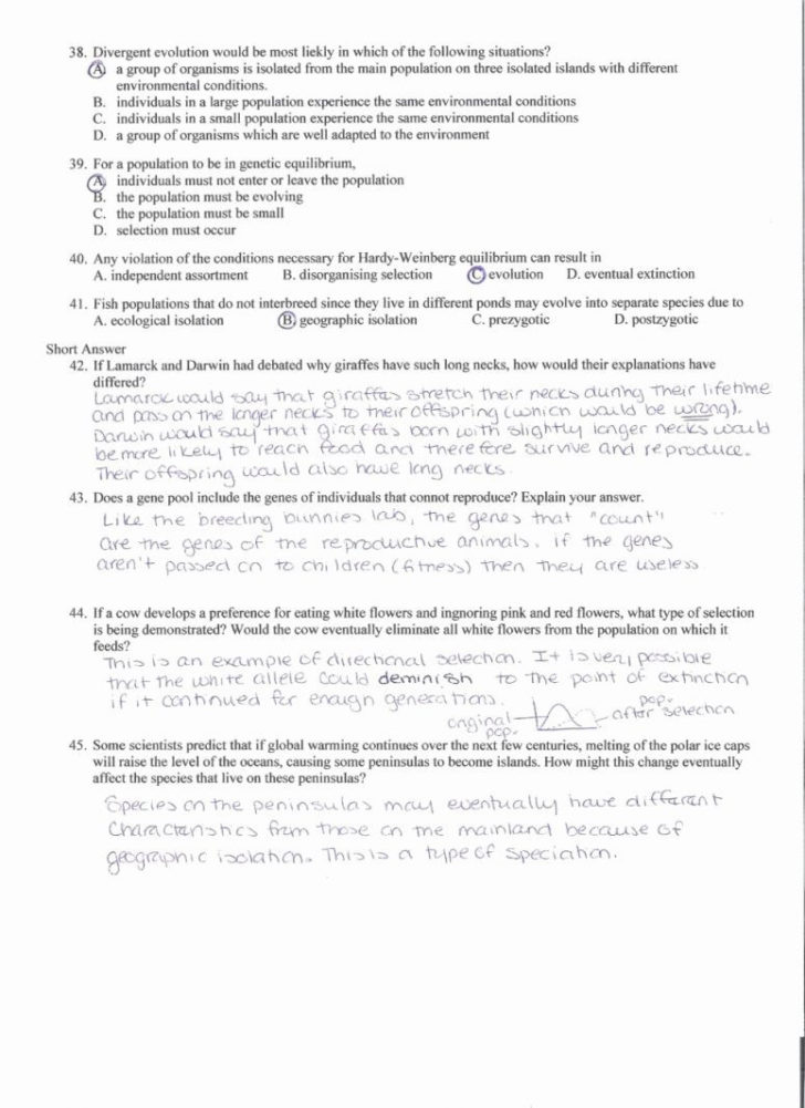 Speciation And Extinction Worksheet Answers