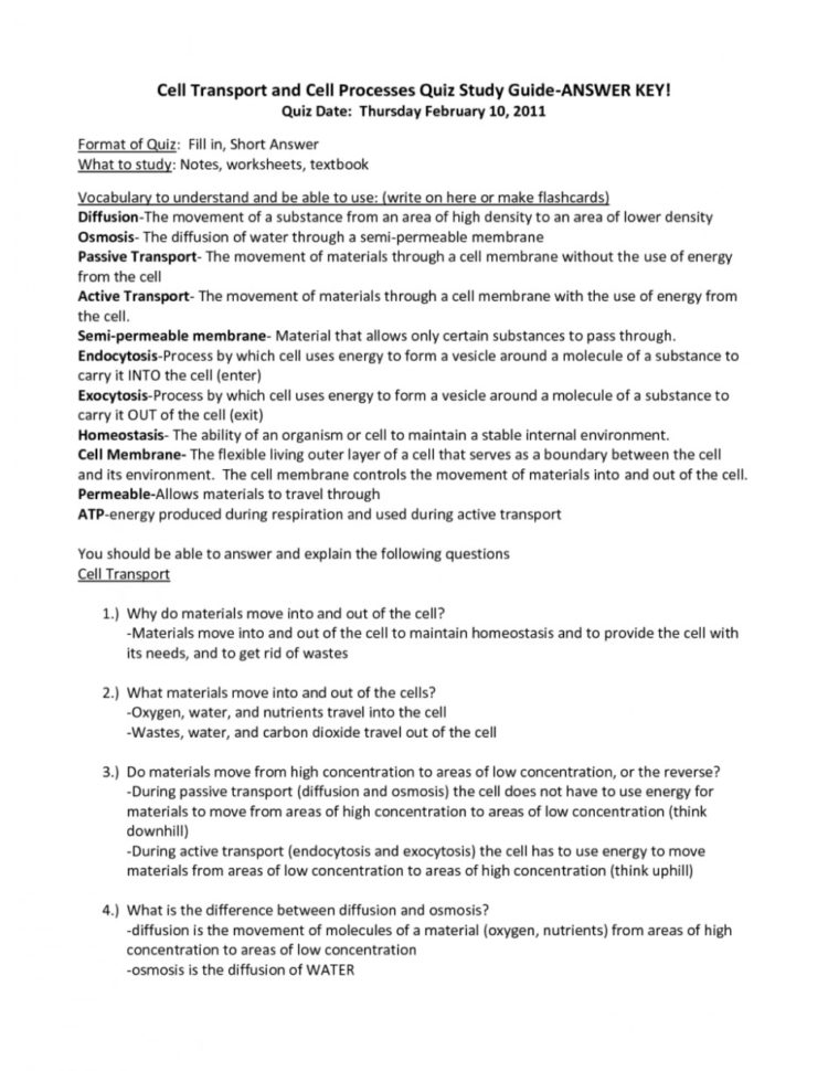 Worksheet Solutions Worksheet Answers Solutions Worksheet