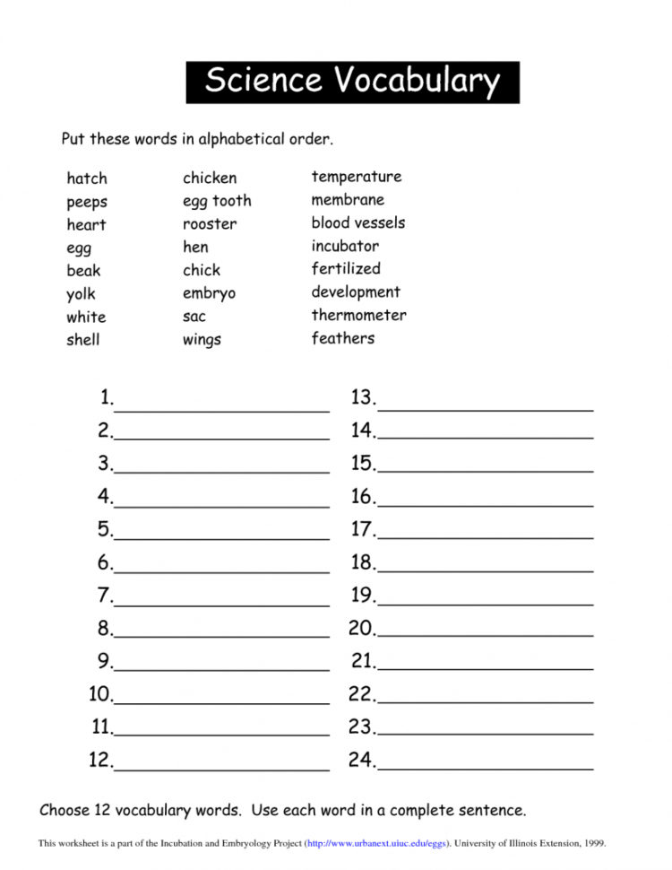 Worksheet   The Worlds Catalog Of Ideas