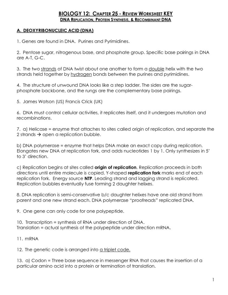 Worksheet Transcription And Translation Worksheet Answers Modern