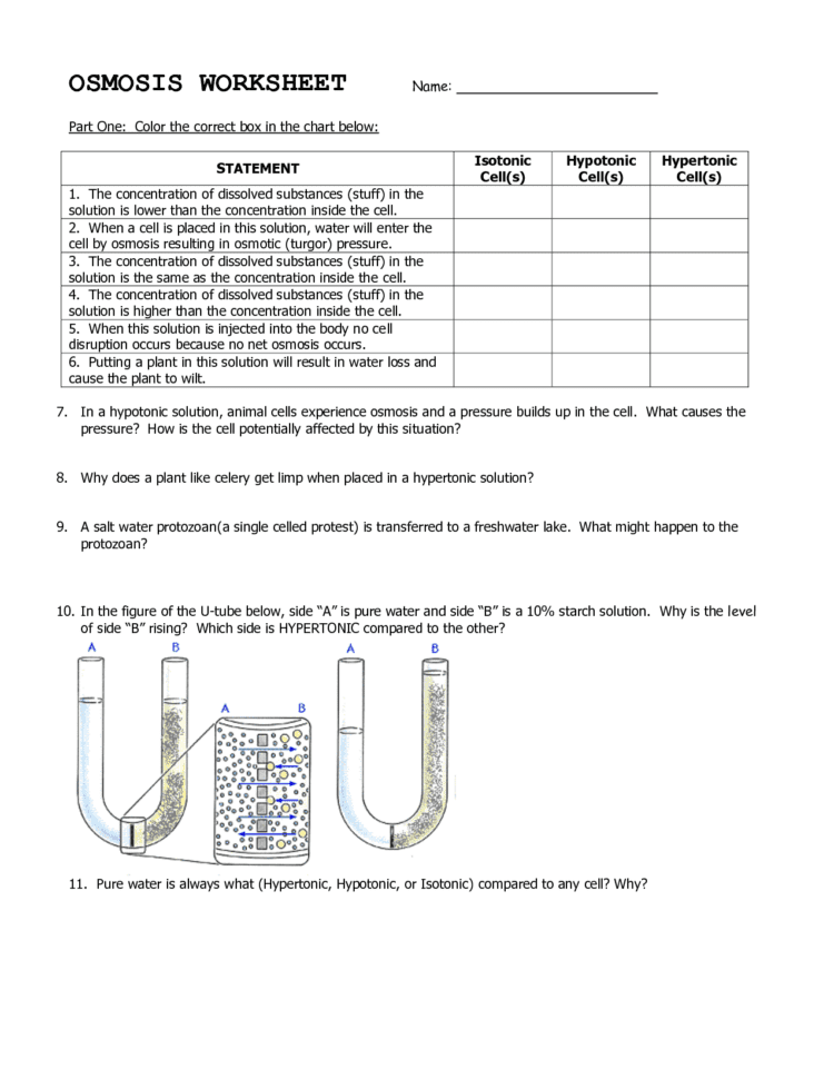 Worksheets Osmosis And Tonicity