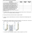 Worksheets Osmosis And Tonicity