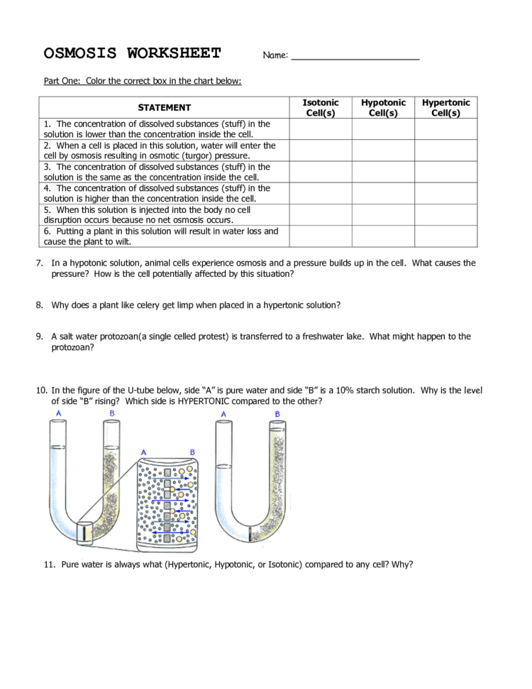 Worksheets Osmosis And Tonicity