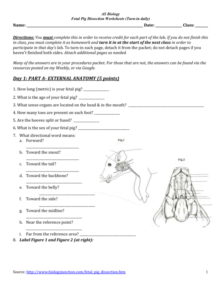 fetal-pig-dissection-worksheet-answers-db-excel