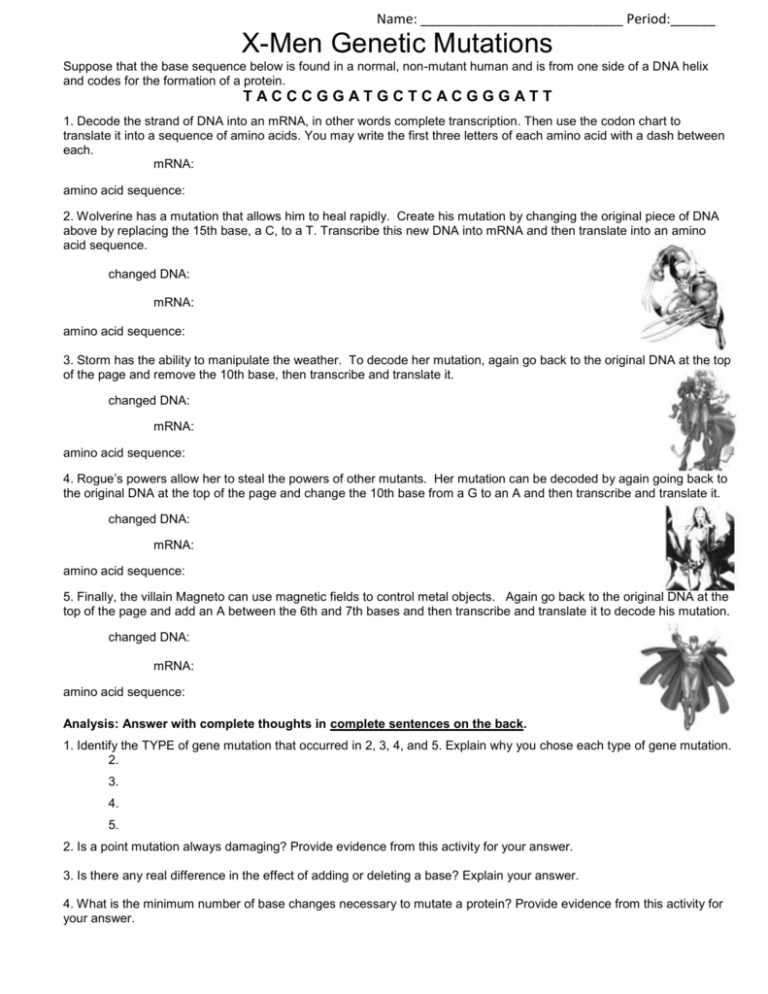 Gene Mutations Worksheet Answer Key — db-excel.com