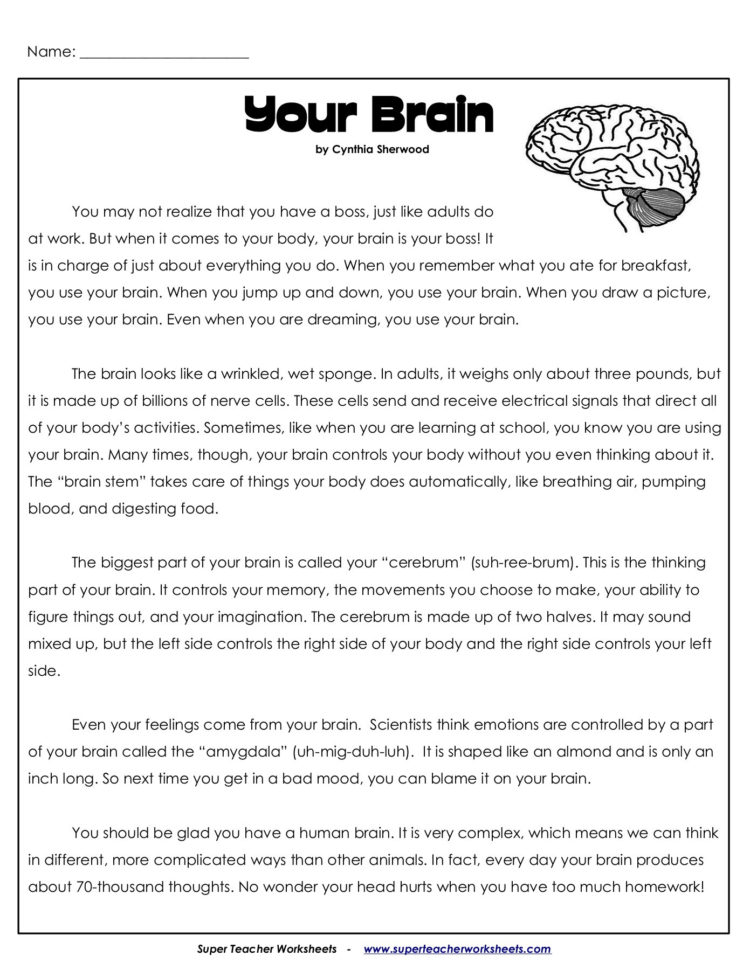 Your Brain  Superteacherworksheets Your Brain  Superteacherworksheets