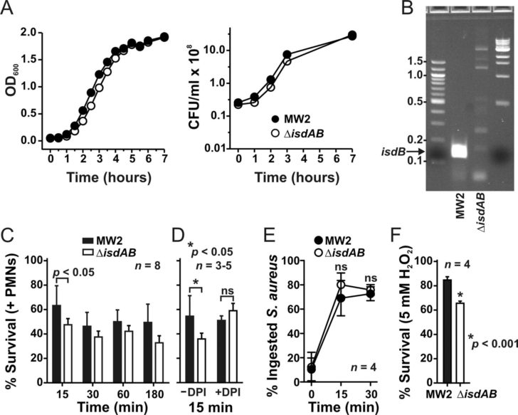 Zimmermann Telegram Worksheet Pdf Zimmermann Telegram Worksheet Pdf
