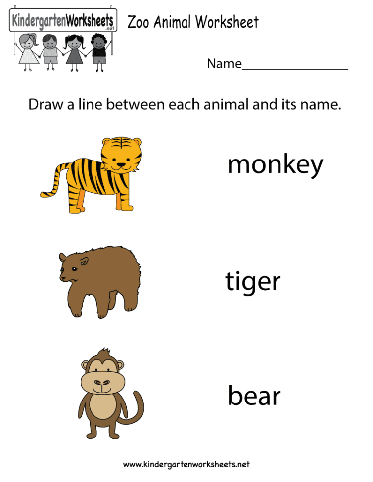 Zoo Animal Worksheet  Free Kindergarten Learning Worksheet